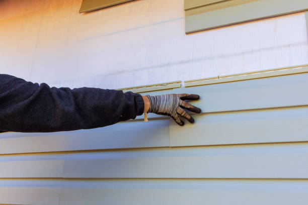 Best Siding Replacement  in Hampton, IL